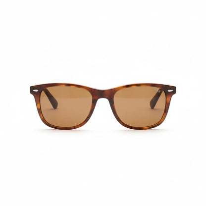 Munich Sunglasses by The Outlier - front view